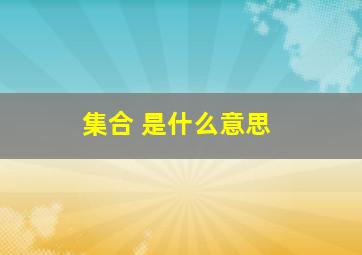 集合 是什么意思